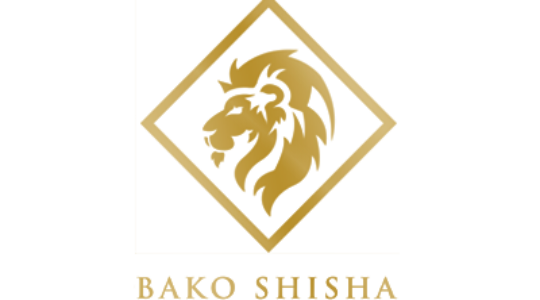 https://ks-hookah.com/wp-content/uploads/2022/11/shisha-kalender-bako-shisha-540x300.png